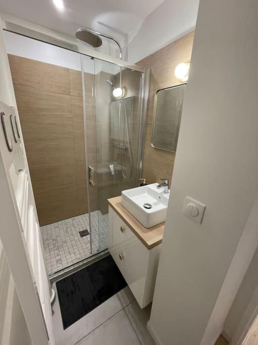 Blue Iro, Lumineux, 4 Chambres, Balcon, 105M2 Saint-Etienne  Buitenkant foto