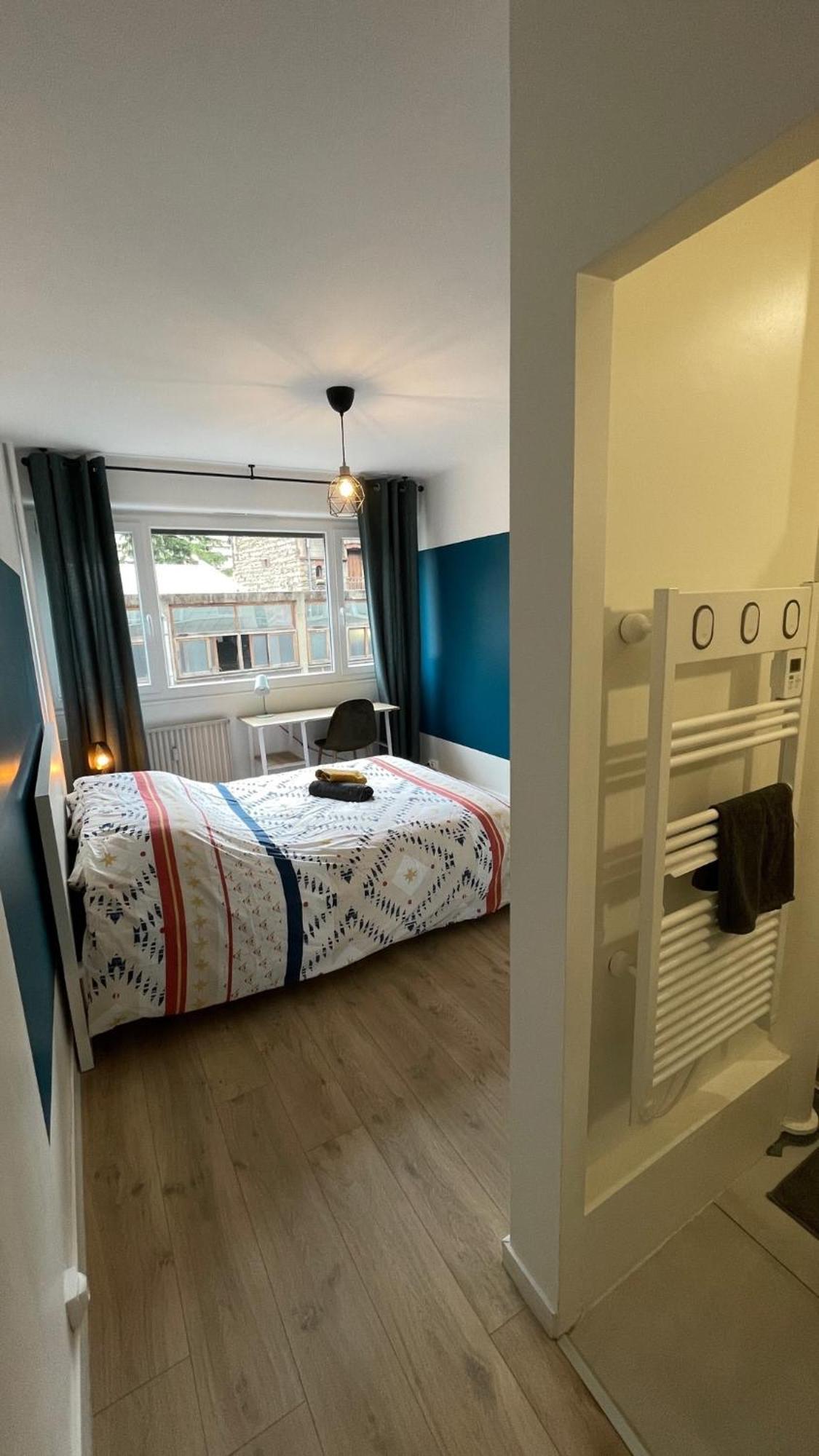 Blue Iro, Lumineux, 4 Chambres, Balcon, 105M2 Saint-Etienne  Buitenkant foto